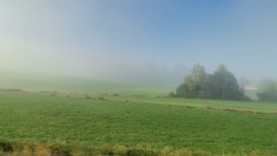 Part_Standard_Herbst im Nebel.jpg