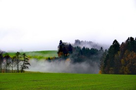 schimmel_Standard_Herbst im Nebel.jpg
