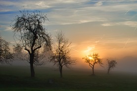 MayerJ-Nebel-Technik.jpg