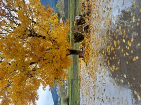 Schmidbauer_Regenwetter_Standard.jpg