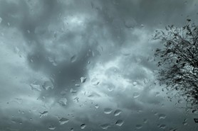 Wagner_Regenwetter_Standard.jpeg