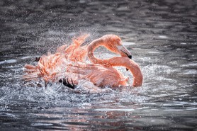 Pichler_Lieblingsbild_25-04.jpg