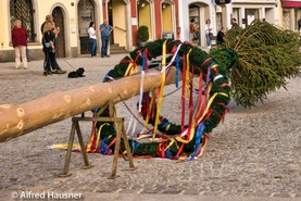 Maibaum_Hausner-10.jpg