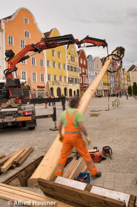 Maibaum_Hausner-11.jpg