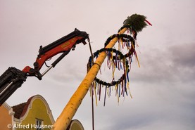 Maibaum_Hausner-13.jpg