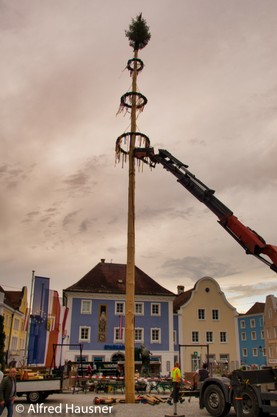 Maibaum_Hausner-14.jpg