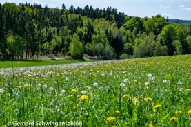 Ingling_Schwingenschlögl-17.jpg