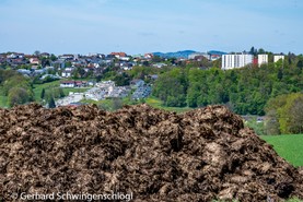 Ingling_Schwingenschlögl-19.jpg